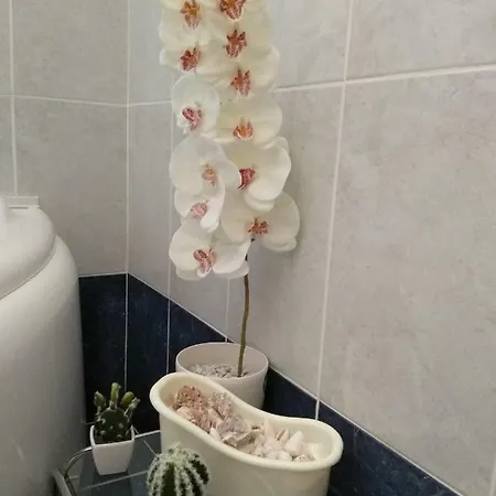 Apartament Seva's House, Nature & Relax, Near Lindos Vlicha (Rhodes)